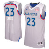 Eastern Conference LeBron James 23 Gray 2017 NBA All-Star Game Swingman Jersey