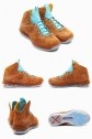 Perfect LeBron 10 AAA14