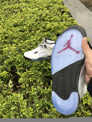 Air Jordan V White Cement