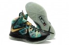 Perfect LeBron 10 AAA9