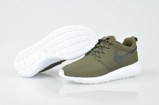 Roshe Run Net women2
