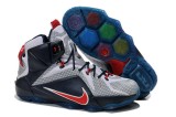 LeBron James 12 shoes13