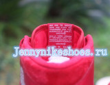 Authentic Air Jordan 1 High OG “Gym Red”