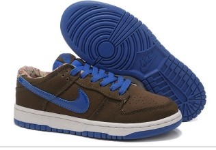 Dunk shoes women low13