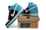 2014 Dunk High Pro SB shoes10
