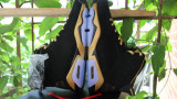 Authentic Air Jordan 6 OVO