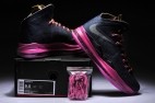 Perfect LeBron 10 AAA2