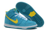 2014 Dunk High Pro SB shoes11