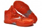 Perfect LeBron 11 AAA8