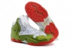 Perfect LeBron 11 AAA 042