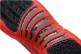 Air Jordan 12 Perfect Shoes 02