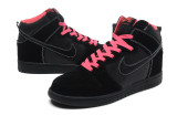 2014 Dunk High Pro SB shoes3