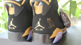 Authentic Air Jordan 6 OVO