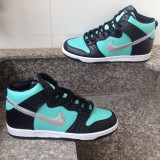 2014 Dunk High Pro SB shoes1