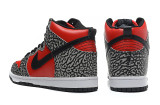 2014 Dunk High Pro SB shoes7