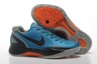 Zoom Hyperdunk 2013 Low PE 005