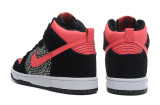 2014 Dunk High Pro SB shoes2