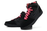 2014 Dunk High Pro SB shoes3