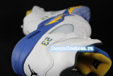 Authentic Air Jordan 5 Laney shoes