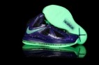 LeBron James 10 shoes31