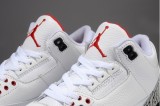 Air Jordan 3 Perfect Shoes11
