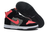 2014 Dunk High Pro SB shoes2