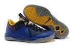 Lebron ST Low II shoes 004