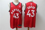 Toronto Raptors Jerseys 016