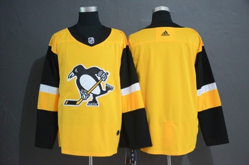Pittsburgh penguins Jerseys 041