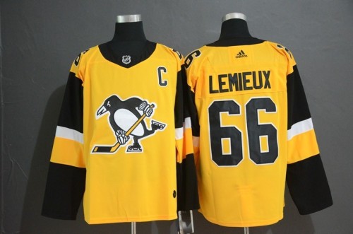 Pittsburgh penguins Jerseys 077