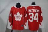 Toronto maple leafs Jerseys 033