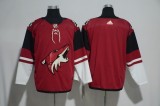 Phoenix Coyotes jerseys 004