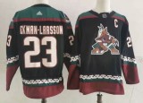 Phoenix Coyotes jerseys 005