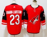 Phoenix Coyotes jerseys 003