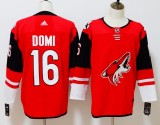 Phoenix Coyotes jerseys 001