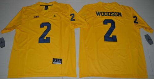 Michigan Wolverines Jerseys 102