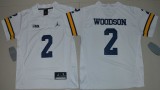Michigan Wolverines Jerseys 098