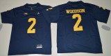Michigan Wolverines Jerseys 100
