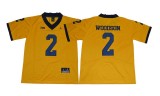 Michigan Wolverines Jerseys 117
