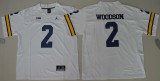 Michigan Wolverines Jerseys 099