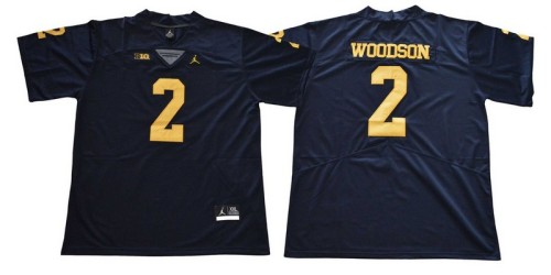 Michigan Wolverines Jerseys 112