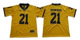 Michigan Wolverines Jerseys 113