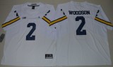 Michigan Wolverines Jerseys 096