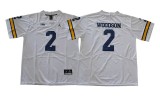 Michigan Wolverines Jerseys 118
