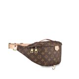 Luis Vuitton Handbags 115