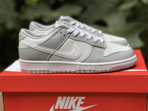 Nike Dunk Low Retro “Grey/White”
