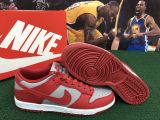 Nike SB dunk 111