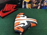 Air Jordan 1 “Reverse Shattered Backboard”