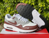 Nike Air Max 1 “Brown”