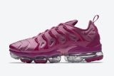 Air Max TN Plus 18 shoes 031